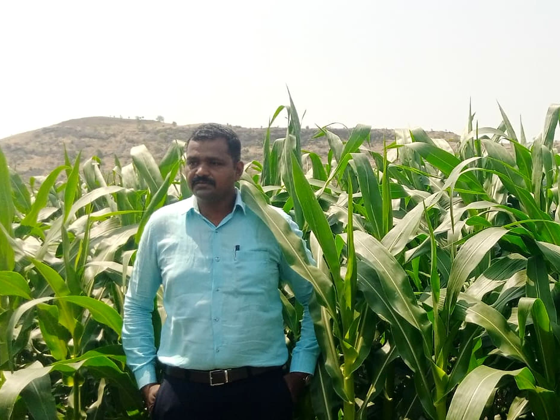 Agri consultant guiding a farmer in a crop field